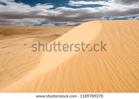 desert landscape in western sahara