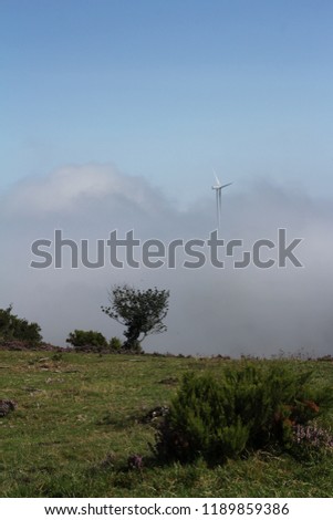 windmills in the mist