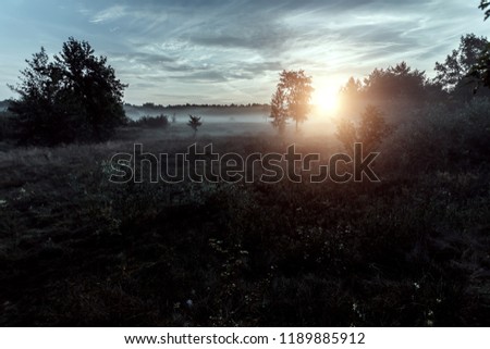 Mysterious, mystical, gloomy landscape at sunset, fog over the meadow. A magical twilight situation.