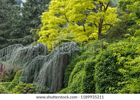Butchart gardens in summer, Victoria, British Columbia, Canada. Travel Canada. Green background.