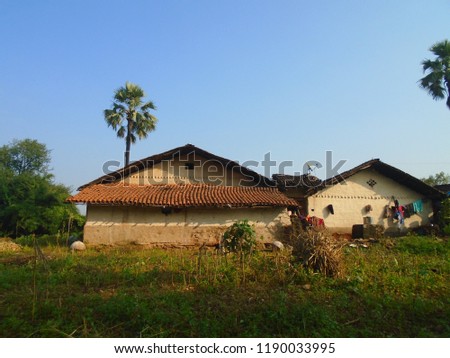 indain village house picture  with palm male tree