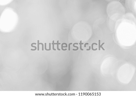 Gray bokeh abstract texture background from nature