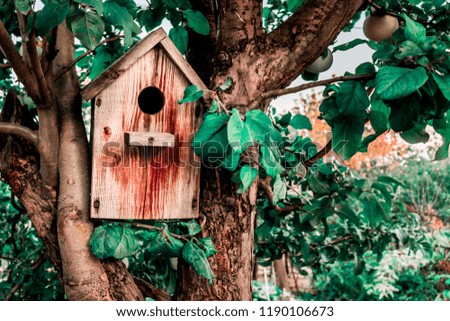Birdhouse on an apple tree