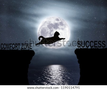 The brave cat jumps over the abyss. Comfort zone. Success. Positive attitude and motivation.
