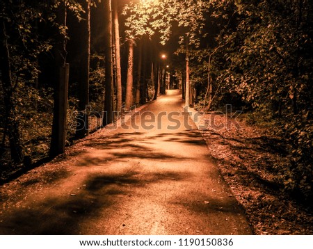 Walk through the night park