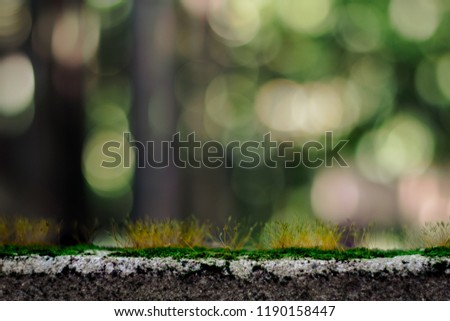 Moss-covered on concrete with blur background.