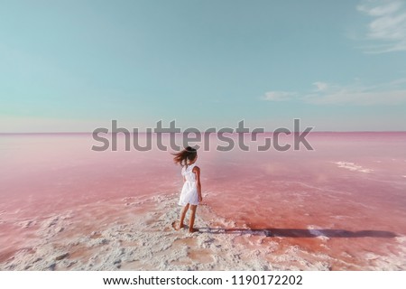 pink salt lake Royalty-Free Stock Photo #1190172202