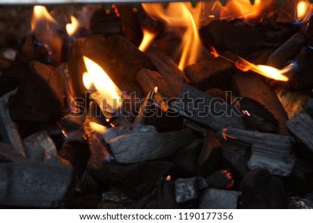 Flames and coal. There are a few pieces of coals which do not burn. Front view, in outside and without character.