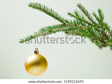 Prickly Christmas tree branch on a light background with a Christmas toy. Minimalism Royalty-Free Stock Photo #1190212693