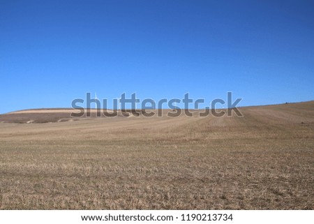 Wind turbine in the fields of Burgos in the north of Spain