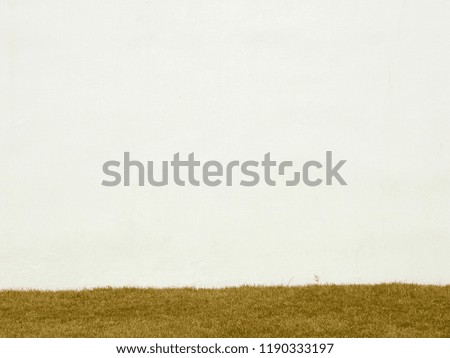 dry brown grass lawn with white wall background