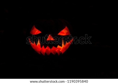 light pumpkin jack on a black background