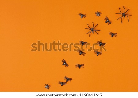 background for halloween, spiders on an orange table, top view, lots of free space, flat lay