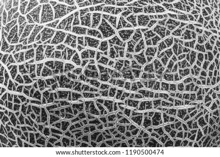 the texture of the peel of a melon, a black and white photo