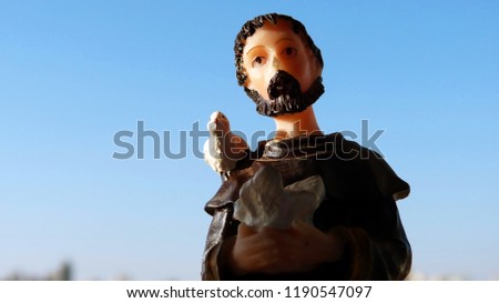 Religious image of Saint Francis of Assisi in resin