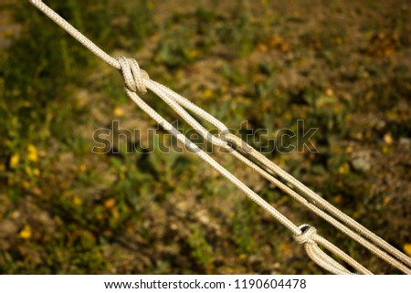 sea knots rope