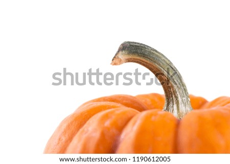 Pumpkin closeup on white background