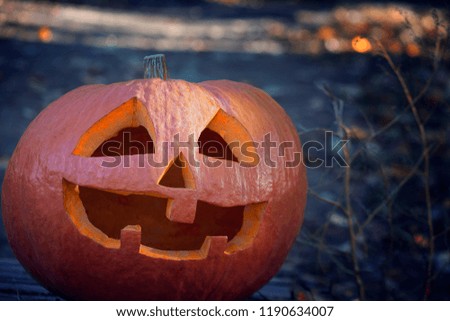 A large pumpkin with a smiling face in the twilight. The Halloween symbol on the background of a forest path. A terrible holiday photo.