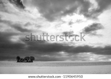 Black and white landscape, a minimalist winter image, with a few trees alone on a big snowy field, under a dramatic sky, near Ilshofen, Germany.