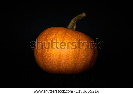                       Pumpkin in darkness. Halloween mood.          