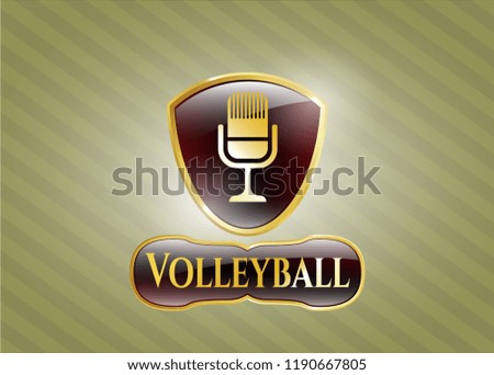  Golden emblem or badge with microphone icon and Volleyball text inside