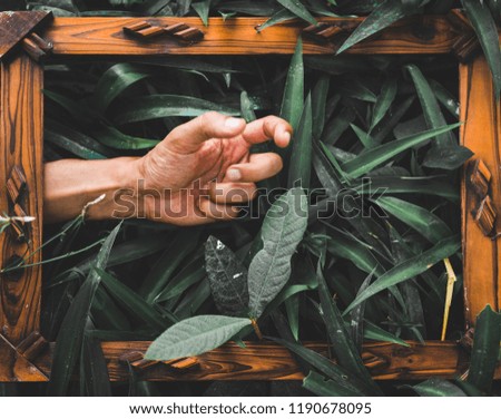 high angle view of a hand in vintage brown photo frame in green grass and leaves. nature concept