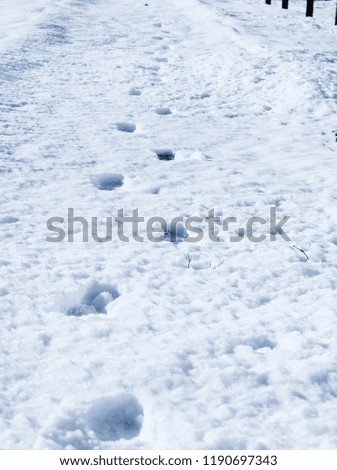 An image of footprints on a snowy path in Japan.