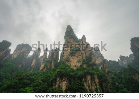Zhangejiajie or Wulingyuan national park in Hunan - China. This location is rate as world heritage site in category of natural. Amazing many peaks of limestone mountain. Landmark scenic view photo.