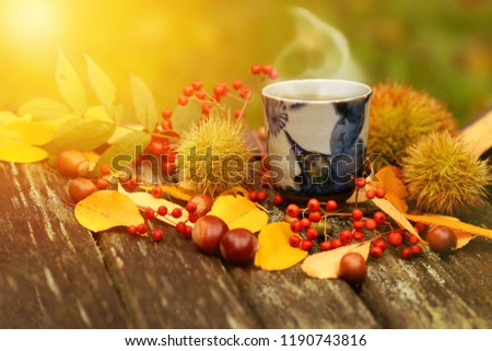 Mug with green tea and autumn leaves on wooden table with golden light of sunset in background. 