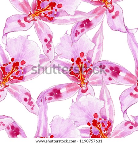 seamless pattern, botanical illustration, beautiful  flowers, floral ornament, isolated on white background