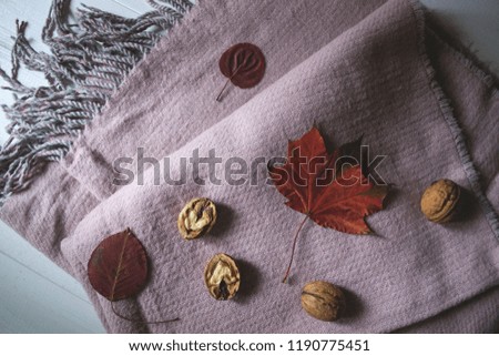 The beautiful fallen leaves and walnuts on a warm scarf. Autumn background.