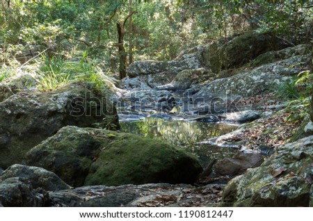 Gheerulla Creek in summer