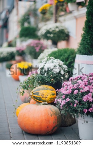 Autumn decoration with pumpkins and flowers at a flower shop on a street 