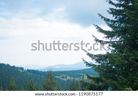 Nice picture with an evergreen tree in front of the mountain panorama. Bright and colorful background with light blue tones.