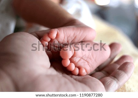 Soft focus of newborn tiny baby feet in parent hands