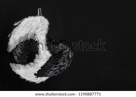 black and white wings on a black background