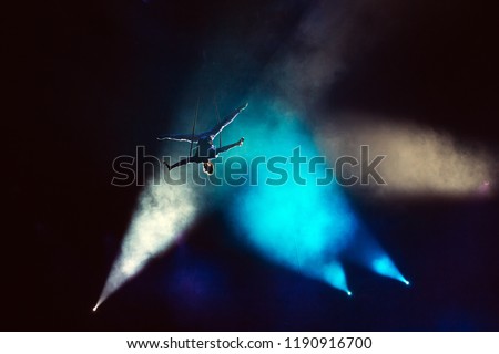 Air acrobat in the circus. Royalty-Free Stock Photo #1190916700