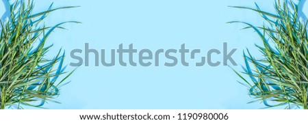 Green leaves on a soft blue background. Creative design with empty space for text.
