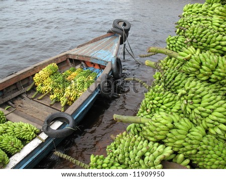 delivery bananas (Musa)  by boat in the Amazon - Musa is one of three genera in the family Musaceae; it includes bananas and plantains Royalty-Free Stock Photo #11909950