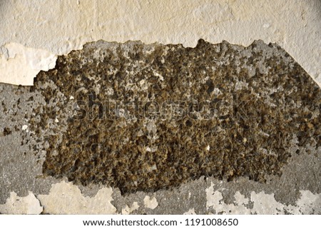 old white color on cement texture and background