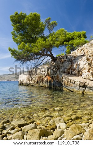 Stone pine on rocks over water in Croatia. Royalty-Free Stock Photo #119101738
