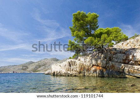 Stone pine on rocks over water in Croatia. Royalty-Free Stock Photo #119101744