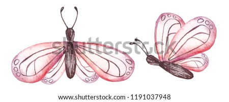 watercolor butterfly set isolated on white background
