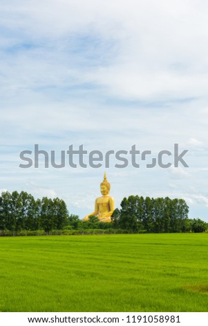 Scenery of Rice field and Big Golden Buddha statue at Wat Muang Temple landmark of angthong province, Thailand
