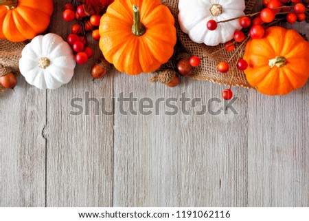 Autumn top border of orange and white pumpkins and berries on a light gray wood background with copy space