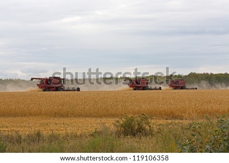Red Harvesters  for harvesting wheat on  background field and sky, Russia.