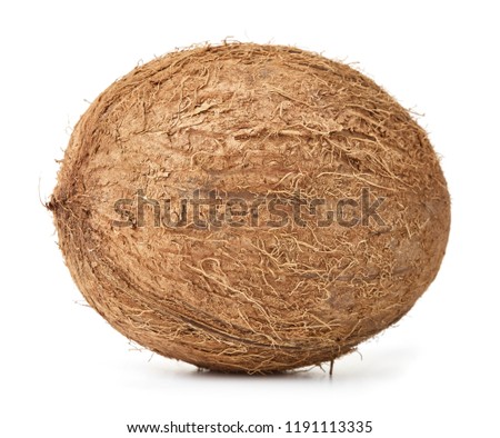 whole ripe hairy coconut fruit isolated on white background