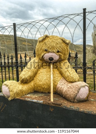 sad teddy bear background unit isolate