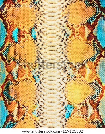 Snake skin background Royalty-Free Stock Photo #119121382