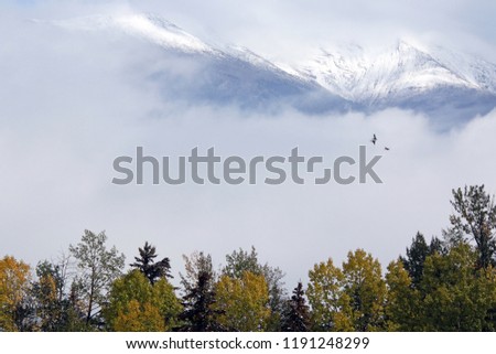 Mountains in the autumn